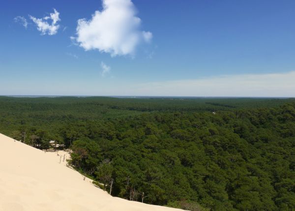 Pylas dune